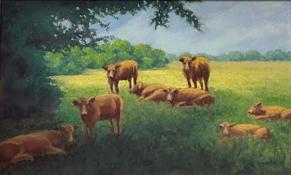 Cows in Shade by Diane Pavelka