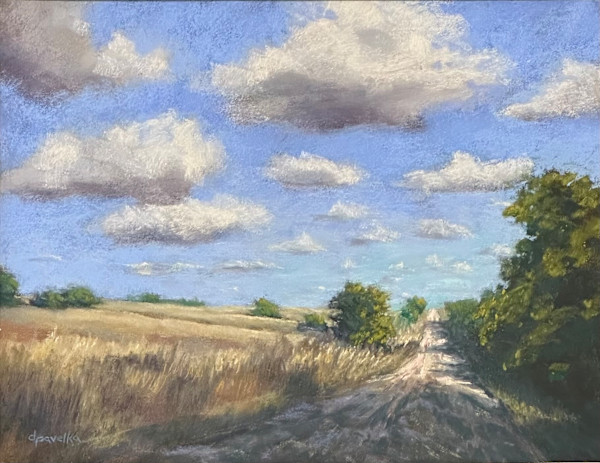Summer on Mentor Road by Diane Pavelka