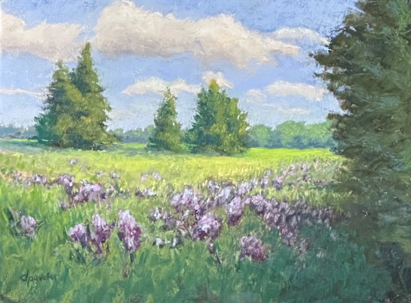 Peaceful Place by Diane Pavelka