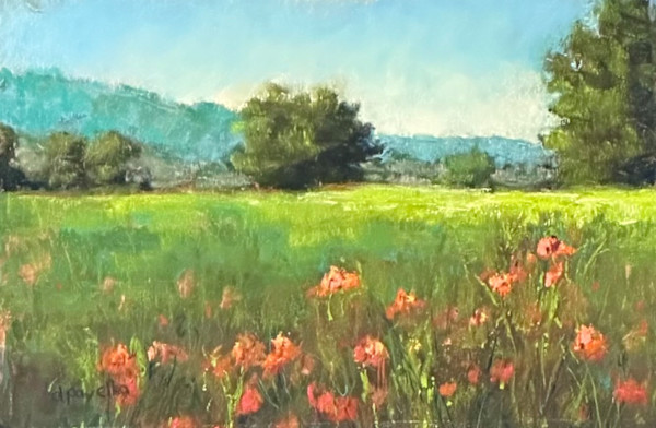 Spring 's Appearance by Diane Pavelka