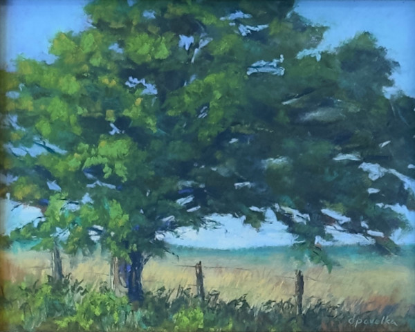 By the side of the Road. by Diane Pavelka