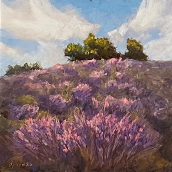 Hillside full of Lavender by Diane Pavelka