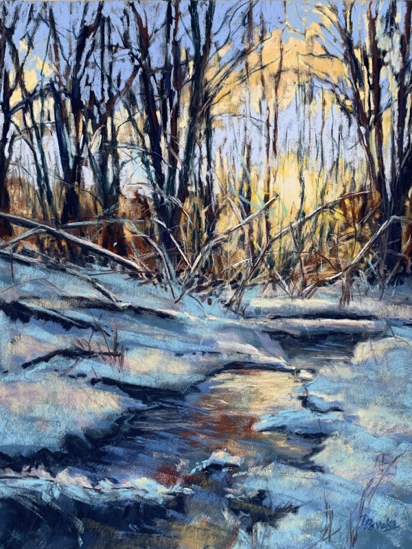 Streamside on a Winter's Day by Diane Pavelka