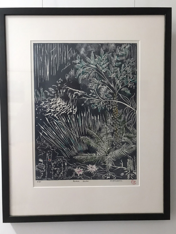 Black Swan (10/10 black frame) by Geoff Hargraves