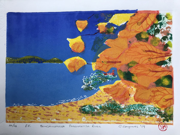 Bouganvillea Parramatta River