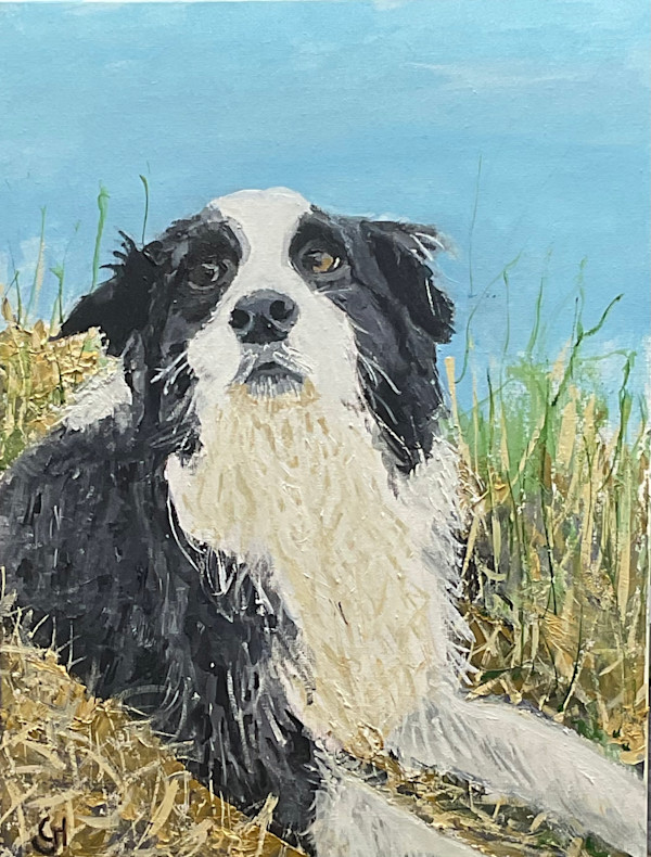 Benji by Geoff Hargraves, Image 1.