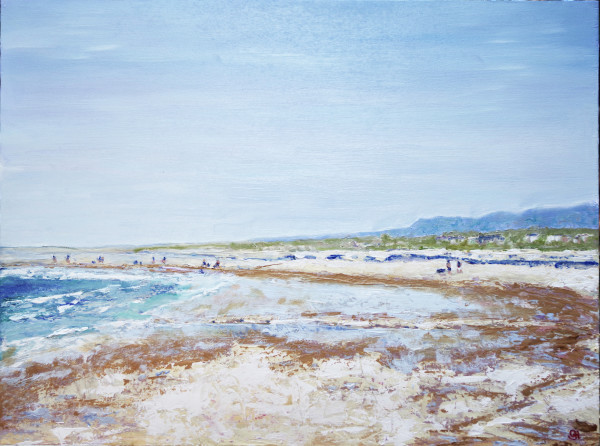 Low Tide Greenhills Beach by Geoff Hargraves