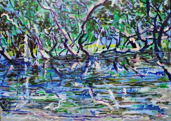 Mangroves Kareena by Geoff Hargraves