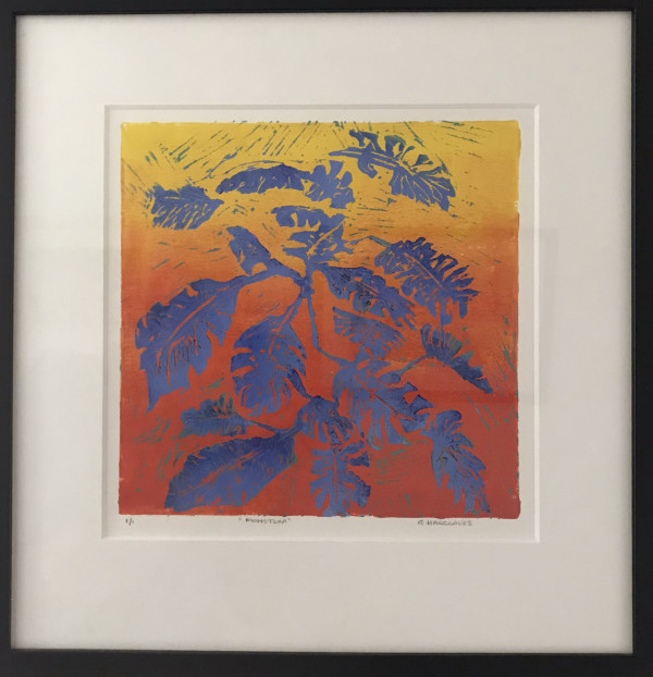 Monstera by Geoff Hargraves