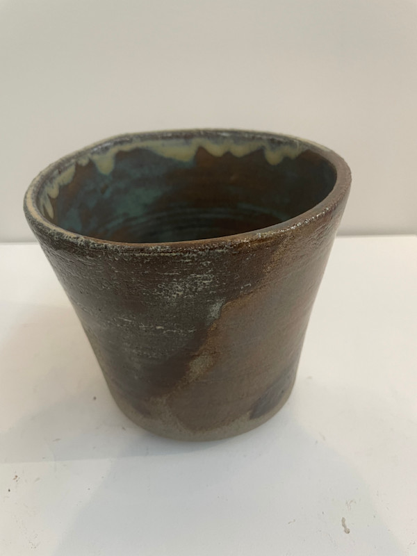 Collector in Lichen by Janel Reid