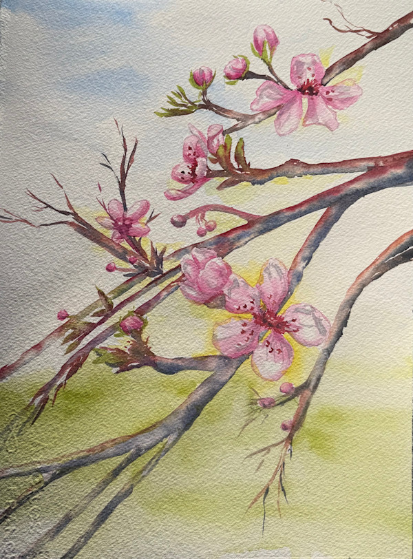 Mysterious Plum by Sarah Scott Falk, Image 1.