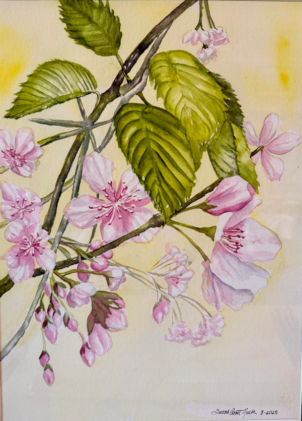 J-Town Cherry Blossom by Sarah Scott Falk