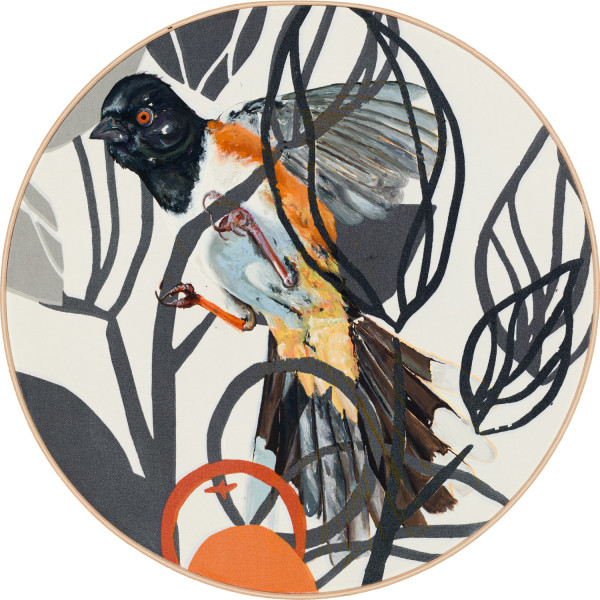 THE TOWHEE THAT FLUTTERS LEAST IS THE LONGEST ON THE WING #23 by Isabelle Klauder
