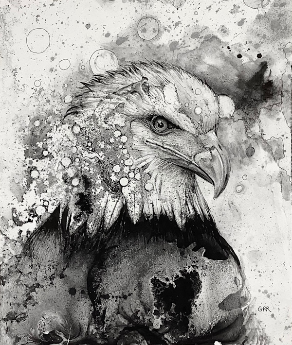 Eagle by Glen Ronald
