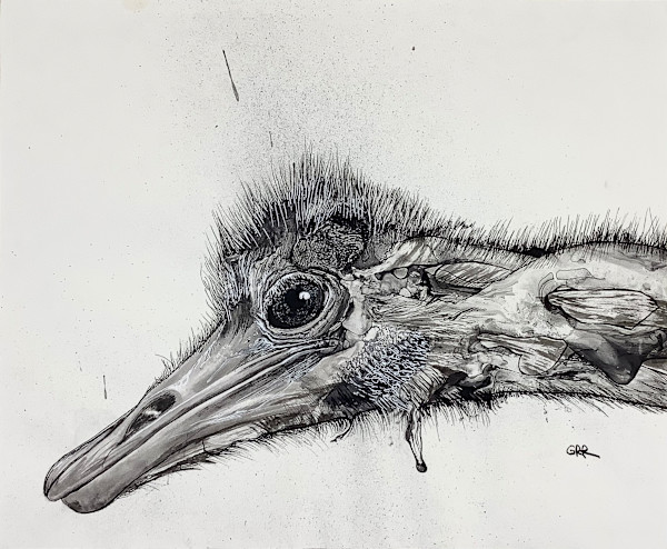 Ink drawing by Glen Ronald