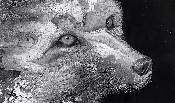Ink wolf by Glen Ronald