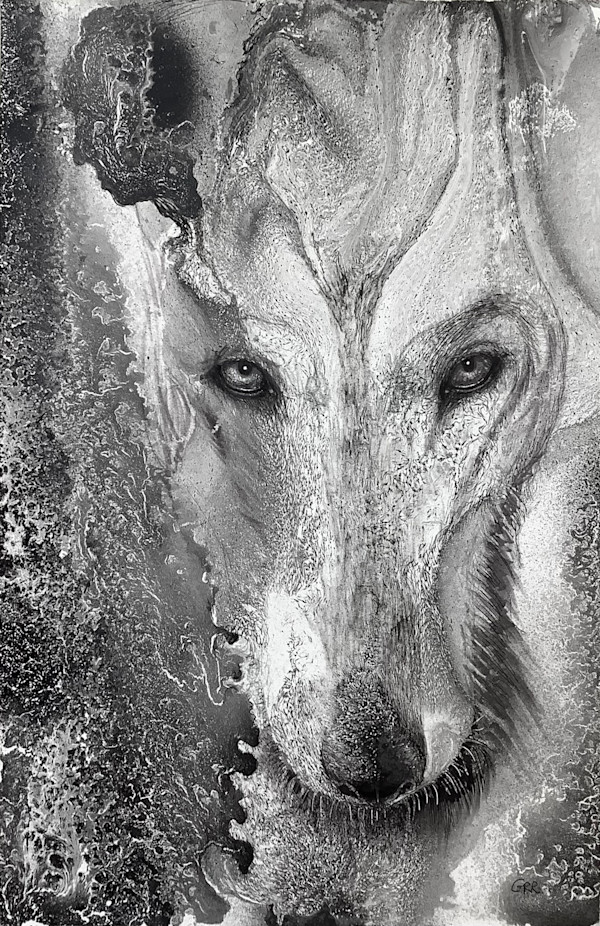 Ink wolf by Glen Ronald