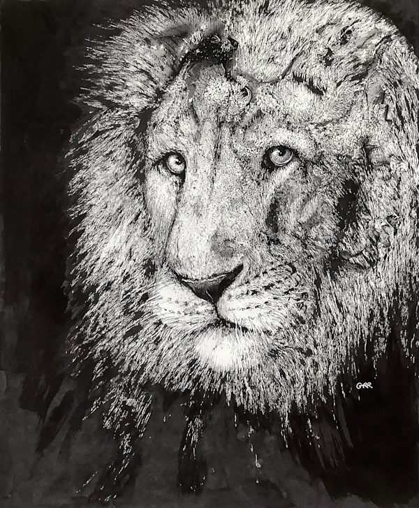 Ink lion by Glen Ronald