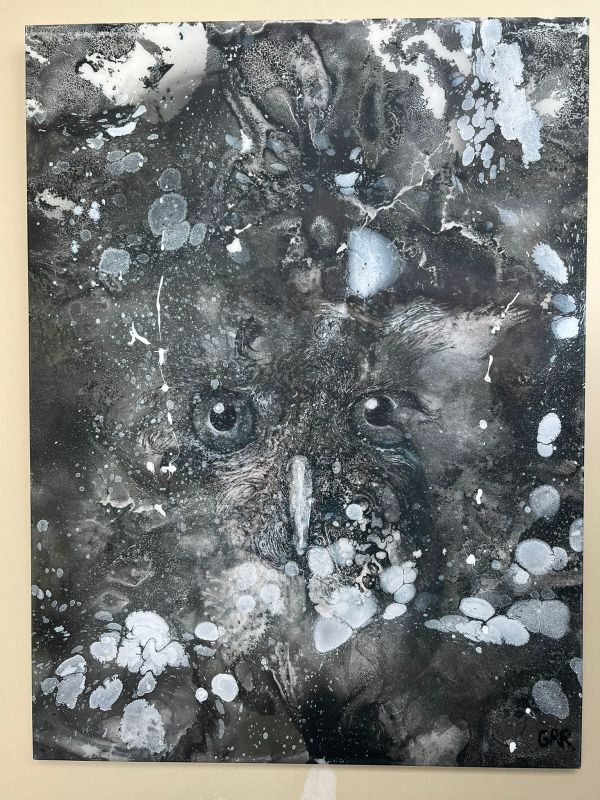 Owl Print by Glen Ronald