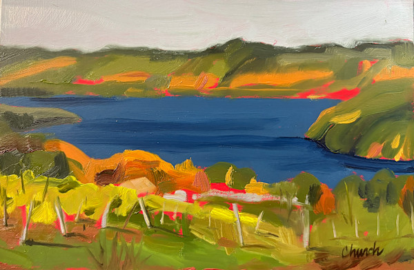 McGregor Vineyard looking west by Maureen Church