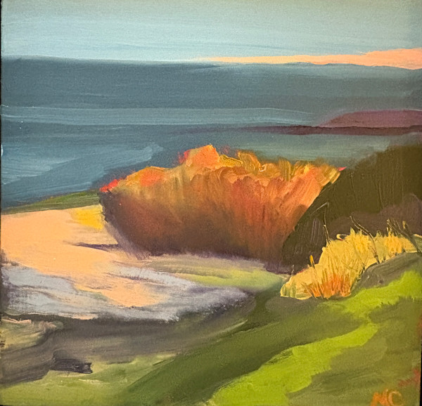 Pink Horizon by Maureen Church