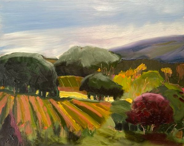 Fall in the Finger Lakes by Maureen Church