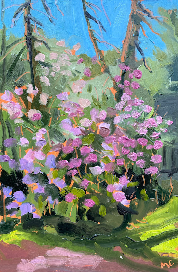 Rhododendrons by Maureen Church
