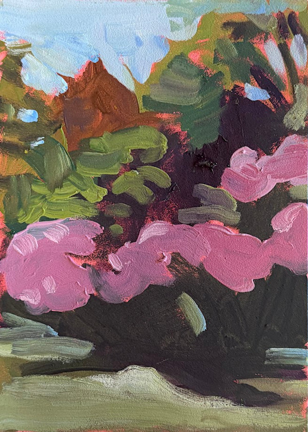 Rhododendrons (2) by Maureen Church