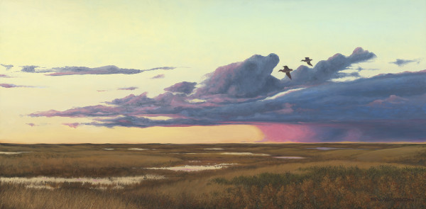 A Prairie Pothole Sunset by Mark H Swenson