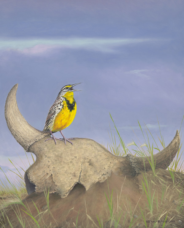 A Prairies Swan Song | Meadowlark by Mark H Swenson