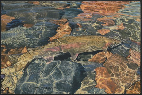 Rainbow Waters by Mark H Swenson