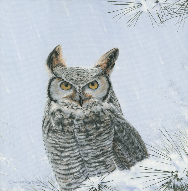 Owl by Mark H Swenson
