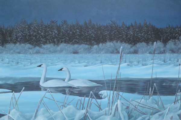 Winter Moon | Swans