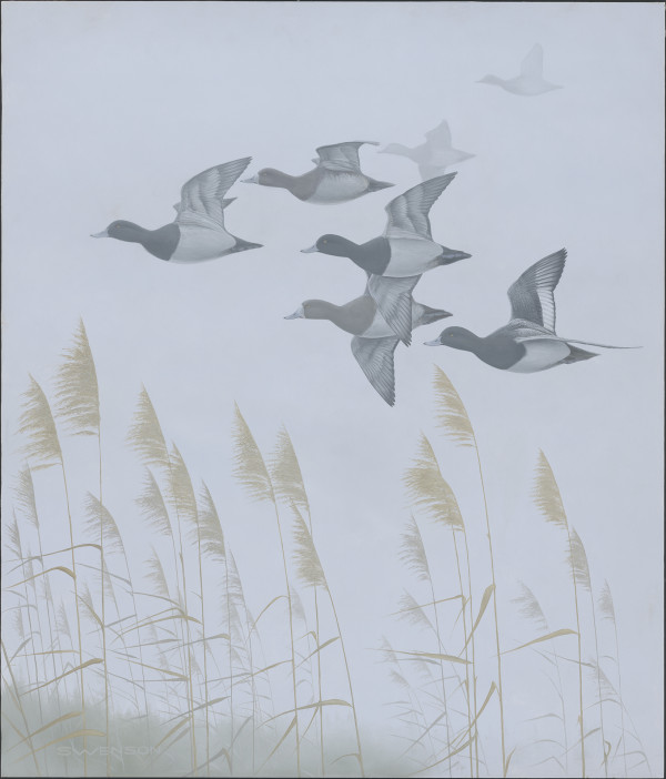 Silent Passage | Bluebills by Mark H Swenson