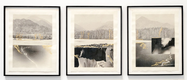 Esteem triptych by Margaret Lansink