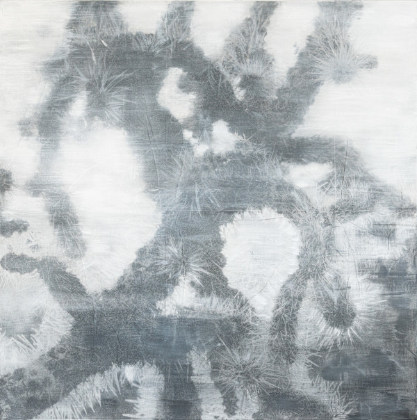 Echoes of Light #2 | UNIQUE by Margaret Lansink