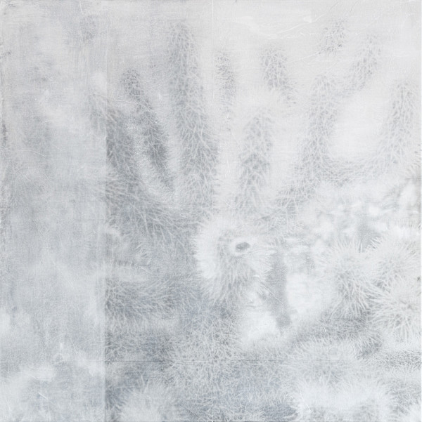 Echoes of Light #4 | UNIQUE by Margaret Lansink