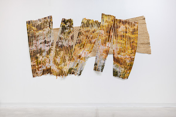Pieced Landscape 50 (after De Amaral) by Regina Durante Jestrow, Image 3.