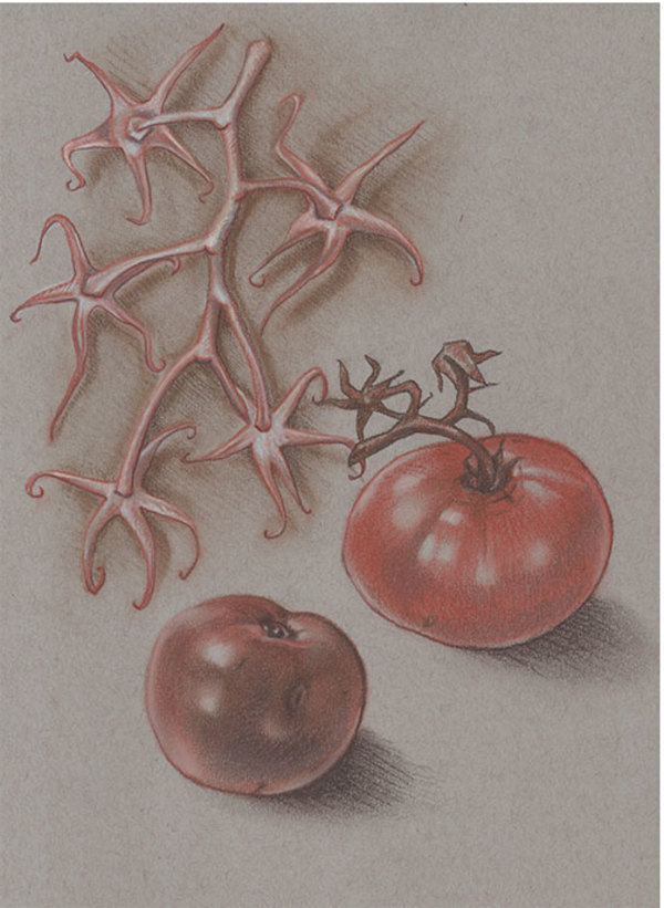 Tomatoes & Vine by Joan Chamberlain