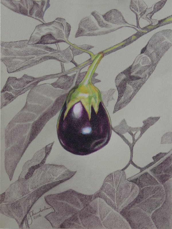 Baby Eggplant by Joan Chamberlain