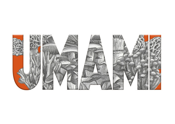 Umami by Joan Chamberlain