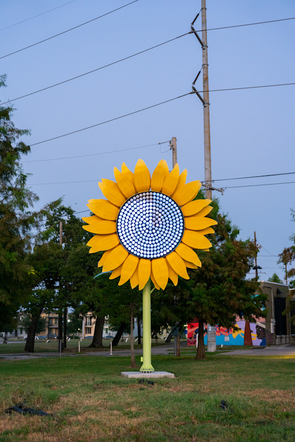 Ketleflower by Josh Pitts