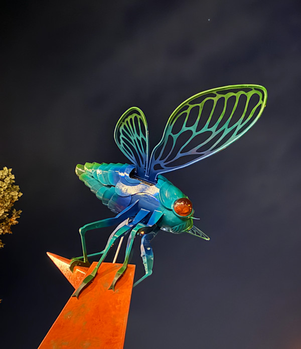 Cicadence by Leaky Roof Studio