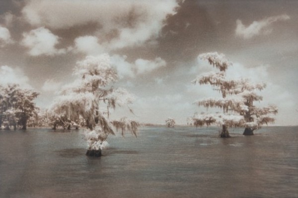 Louisiana Dreamscape by Sandra Russell Clark
