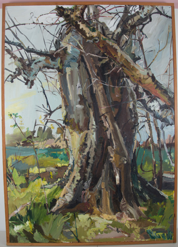 Louisiana Tree #2 by George Hunt