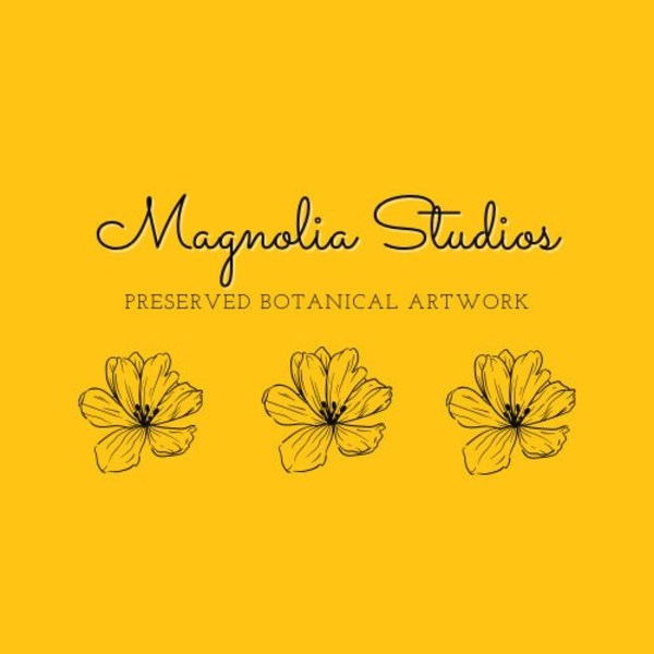 Magnolia Studios of Louisiana by Lynn Jenkins