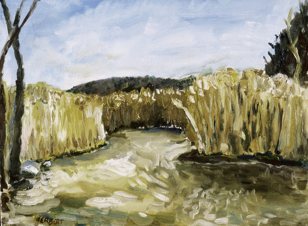 Piermont Marsh No.2 by Jonathan Herbert