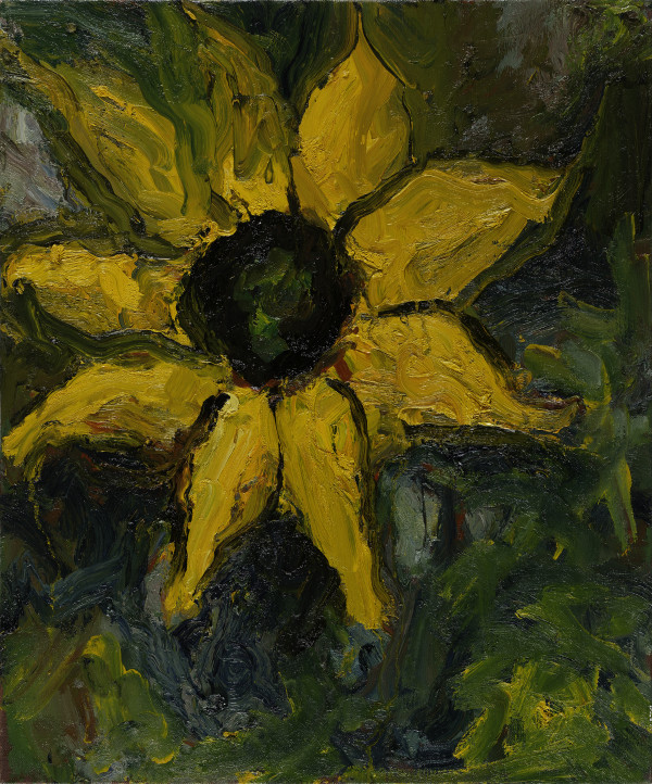 Sunflower by Jonathan Herbert