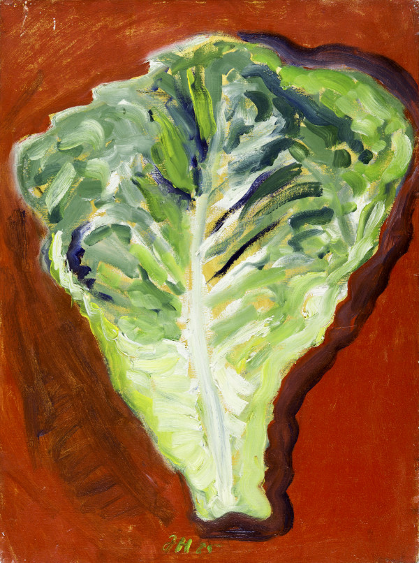 Leaf of Romaine by Jonathan Herbert