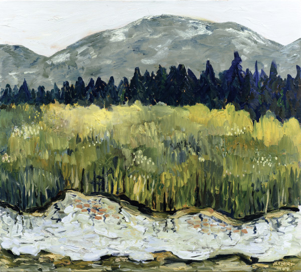 Adirondack Marsh by Jonathan Herbert